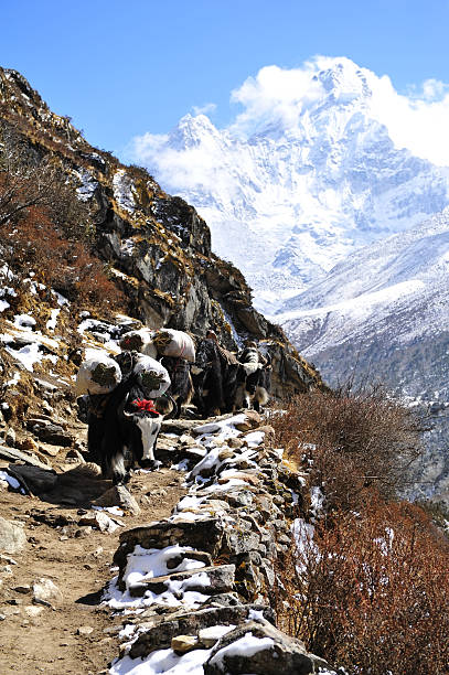 Everest Trekking